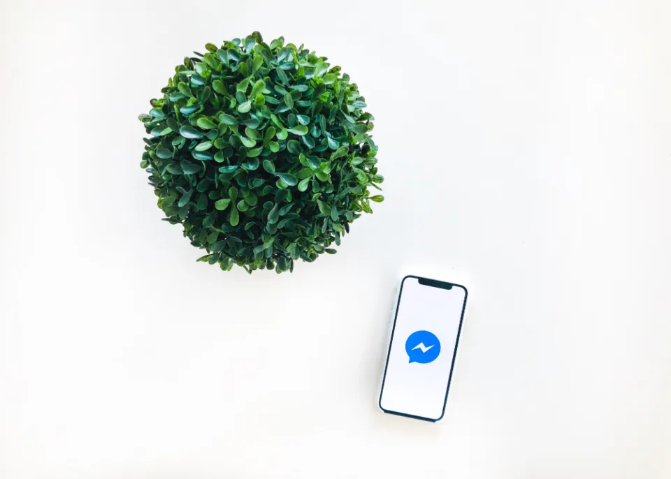 WhatsApp Broadcast Messages for Coaching Institutes